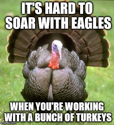 Turkeys.jpg